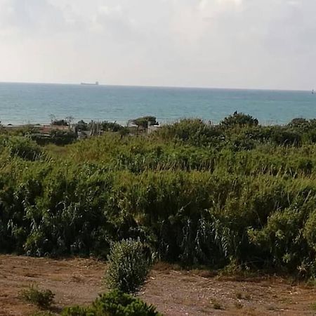 Apartamento Playa Canet Walencja Zewnętrze zdjęcie