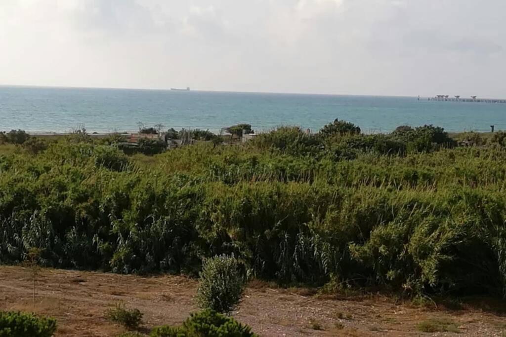 Apartamento Playa Canet Walencja Zewnętrze zdjęcie